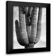 thumbnail image 1 of Adams, Ansel 14x18 Black Modern Framed Museum Art Print Titled - Detail of cactus Saguaros, Saguro National Monument, Arizona, ca. 1941-1942, 1 of 5