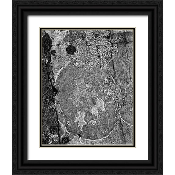 Adams, Ansel 15x18 Black Ornate Wood Framed with Double Matting Museum Art Print Titled - Lichons, Glacier National Park, Montana - National Parks and Monuments, 1941