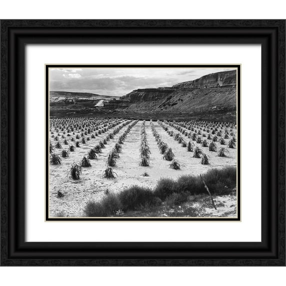 Adams, Ansel 18x15 Black Ornate Wood Framed with Double Matting Museum Art Print Titled - Looking across rows of corn, cliff in background, Corn Field, Indian Farm near Tuba City, Arizona, i