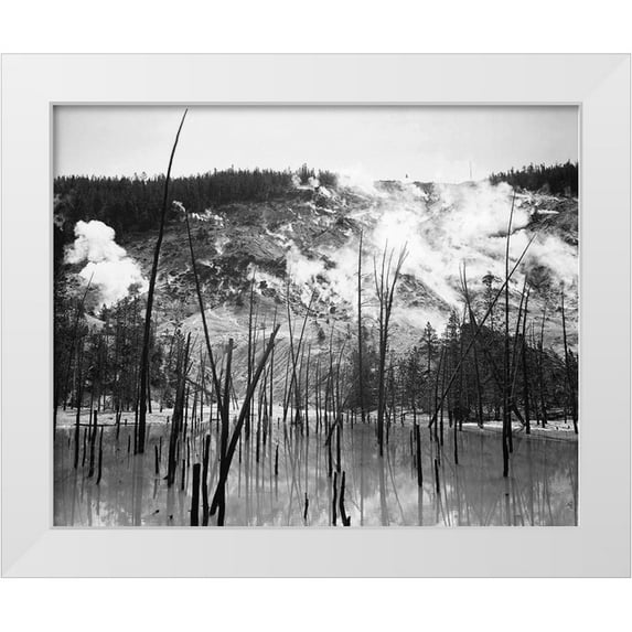 Adams, Ansel 18x15 White Modern Wood Framed Museum Art Print Titled - Barren trunks in water near steam rising from mountains, Roaring Mountain, Yellowstone National Park
