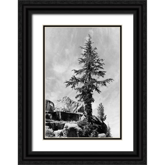 Adams, Ansel 23x32 Black Ornate Wood Framed with Double Matting Museum Art Print Titled - Tree and unnamed peak, Kings River Canyon, proposed as a national park, California, 1936