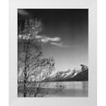 thumbnail image 1 of Adams, Ansel 26x32 White Modern Wood Framed Museum Art Print Titled - View of mountains with tree in foreground, Grand Teton National Park, Wyoming, 1941, 1 of 4