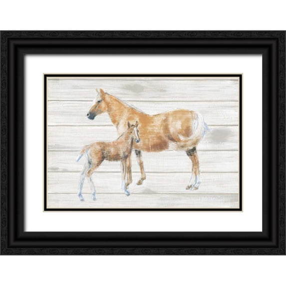 Adams, Emily 32x23 Black Ornate Wood Framed with Double Matting Museum Art Print Titled - Horse and Colt on Wood