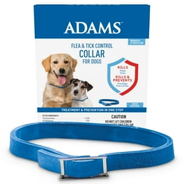 Celestra flea collar best sale