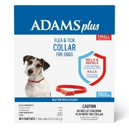 Flea collar for dogs walmart online
