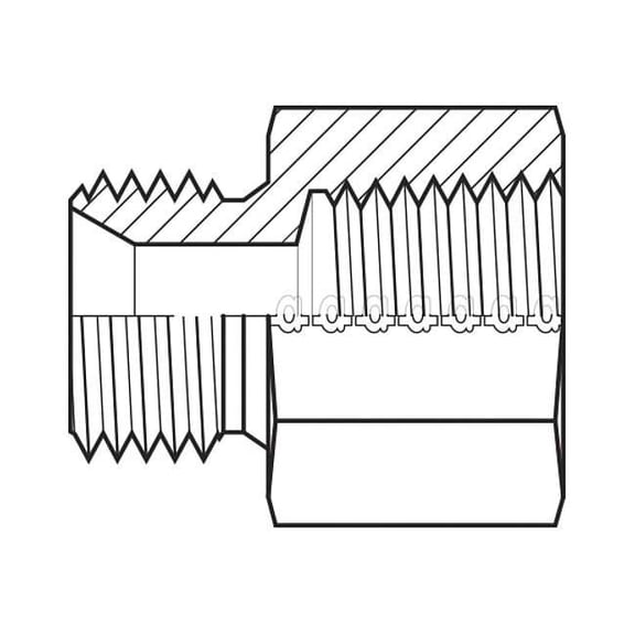 Hose Adapter,1/2",BSPP,3/8",NPT 9035-0806