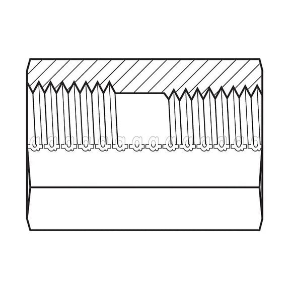 Hose Adapter,1/4",BSPT,1/4",NPT 9044-0404