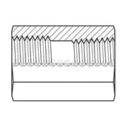 Hose Adapter,1/4,BSPT,1/4,NPT 9044-0404