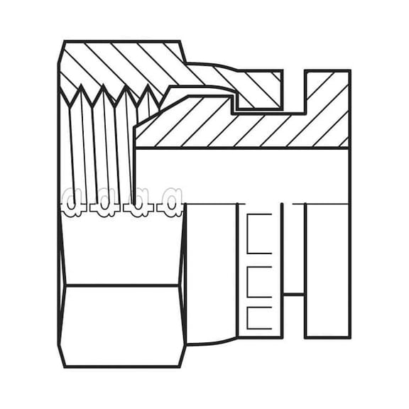 Hose Adapter,1",BSPP 9033-16