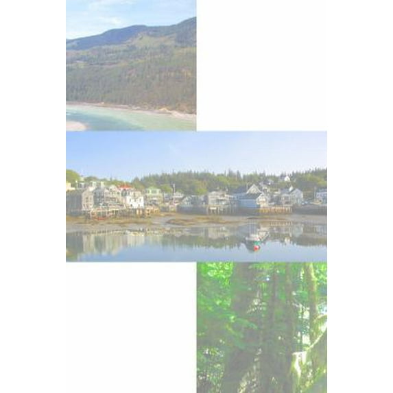 Pre-Owned Adaptive Co-Management: Collaboration, Learning, and Multi-Level Governance (Paperback) 0774813903 9780774813907