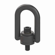 Heavy Duty Hoist Ring, 4000 lb. WLL 33614