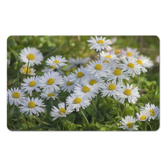 Add Charm to Your Bathroom Cute Daisy Bath Mat, Non-Slip and Super Absorbent