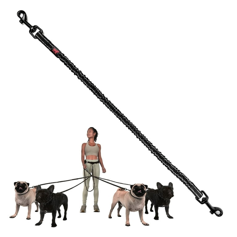 Leash with two clearance clips