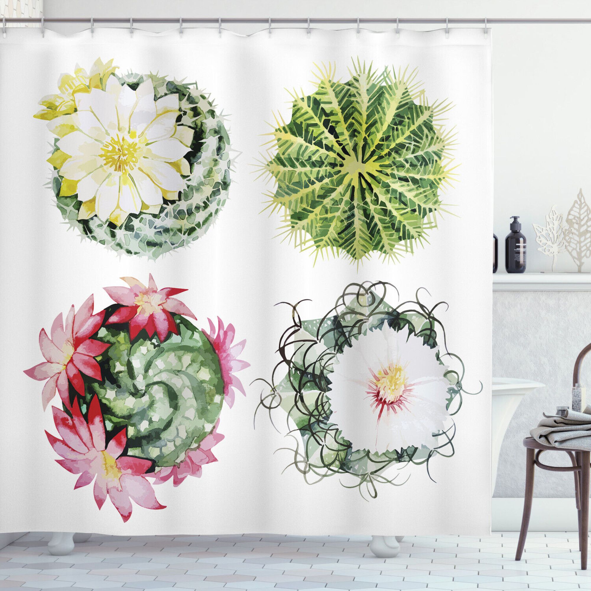 Add a Pop of Color to Your Daily Routine with a Cheerful Mexican Cactus