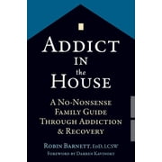 Addict in the House A No-Nonsense Family Guide Through Addiction and Recovery Paperback