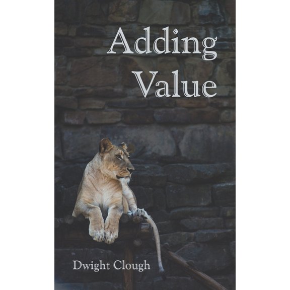 Adding Value: Insights and Opportunities to Empower You, (Paperback)