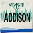 thumbnail image 1 of Addison Mini Bike Plate Add On Accessory, 1 of 1