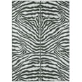 thumbnail image 1 of Addison Rugs Addison Indoor/ Outdoor Safari Zebra Animal Print Washable Area Rug 8' x 10' - Grey, 1 of 9