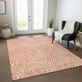 thumbnail image 1 of Addison Rugs Chantille Indoor/Outdoor Transitional Swirls Salmon Washable Rectangle Rug, 9' x 12', 1 of 6