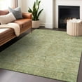 thumbnail image 1 of Addison Rugs Chantille Indoor/Outdoor Traditional Global Sage Washable Rectangle Rug, 2'6" x 3'10", 1 of 6
