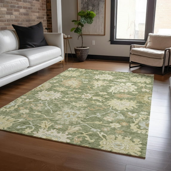 Addison Rugs Chantille Indoor/Outdoor Traditional Global Aloe Washable Rectangle Rug, 9' x 12'