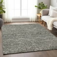 thumbnail image 1 of Addison Rugs Chantille Indoor/Outdoor Traditional Panel Pewter Washable Rectangle Rug, 10' x 14', 1 of 6