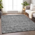 thumbnail image 1 of Addison Rugs Chantille Indoor/Outdoor Transitional Geometric, Abstract Gray Washable Rectangle Rug, 2'6" x 3'10", 1 of 6