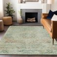 thumbnail image 1 of Addison Rugs Chantille Indoor/Outdoor Traditional Global Sage Washable Rectangle Rug, 8' x 10', 1 of 6