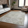 thumbnail image 1 of Addison Rugs Chantille Indoor/Outdoor Traditional Global Taupe Washable Rectangle Rug, 2'6" x 3'10", 1 of 6