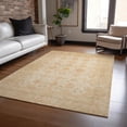 thumbnail image 1 of Addison Rugs Chantille Indoor/Outdoor Traditional Global Beige Washable Rectangle Rug, 10' x 14', 1 of 6
