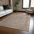 thumbnail image 1 of Addison Rugs Chantille Indoor/Outdoor Traditional Global Brown Washable Rectangle Rug, 10' x 14', 1 of 6