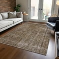 thumbnail image 1 of Addison Rugs Chantille Indoor/Outdoor Traditional Global Brown Washable Rectangle Rug, 10' x 14', 1 of 6