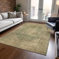 thumbnail image 1 of Addison Rugs Chantille Indoor/Outdoor Traditional Global Aloe Washable Rectangle Rug, 10' x 14', 1 of 6