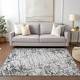 thumbnail image 1 of Addison Rugs Chantille Indoor/Outdoor Transitional Organic Black Washable Rectangle Rug, 9' x 12', 1 of 6