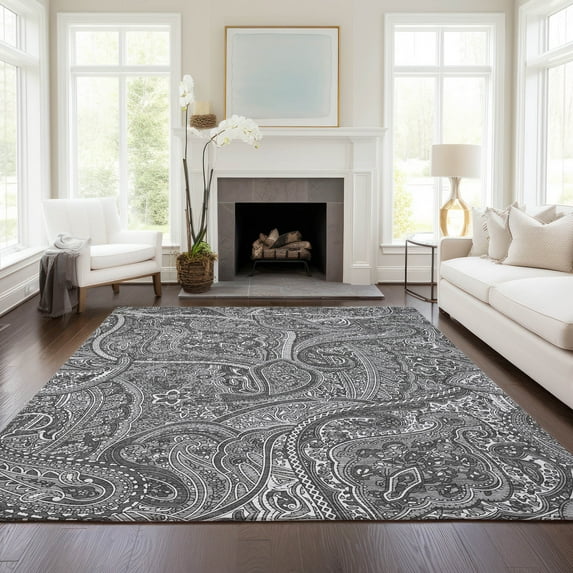 Addison Rugs Chantille Indoor/Outdoor Traditional Paisley Gray Washable Rectangle Rug, 5' x 7'6"