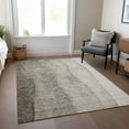 thumbnail image 1 of Addison Rugs Chantille Indoor/Outdoor Transitional Ombre Taupe Washable Rectangle Rug, 3' x 5', 1 of 6