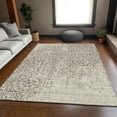 thumbnail image 1 of Addison Rugs Chantille Indoor/Outdoor Transitional Medallions Taupe Washable Rectangle Rug, 5' x 7'6", 1 of 6