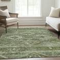 thumbnail image 1 of Addison Rugs Chantille Indoor/Outdoor Transitional Southwest Olive Washable Rectangle Rug, 2'6" x 3'10", 1 of 6