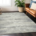 thumbnail image 1 of Addison Rugs Chantille Indoor/Outdoor Transitional Stripes Gray Washable Rectangle Rug, 9' x 12', 1 of 6