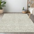 thumbnail image 1 of Addison Rugs Chantille Indoor/Outdoor Traditional Damask Beige Washable Rectangle Rug, 5' x 7'6", 1 of 6
