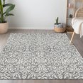 thumbnail image 1 of Addison Rugs Chantille Indoor/Outdoor Traditional Damask Gray Washable Rectangle Rug, 2'6" x 3'10", 1 of 6