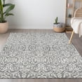 thumbnail image 1 of Addison Rugs Chantille Indoor/Outdoor Traditional Damask Gray Washable Rectangle Rug, 3' x 5', 1 of 6