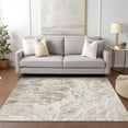 thumbnail image 1 of Addison Rugs Chantille Indoor/Outdoor Transitional Abstract Taupe Washable Rectangle Rug, 10' x 14', 1 of 6