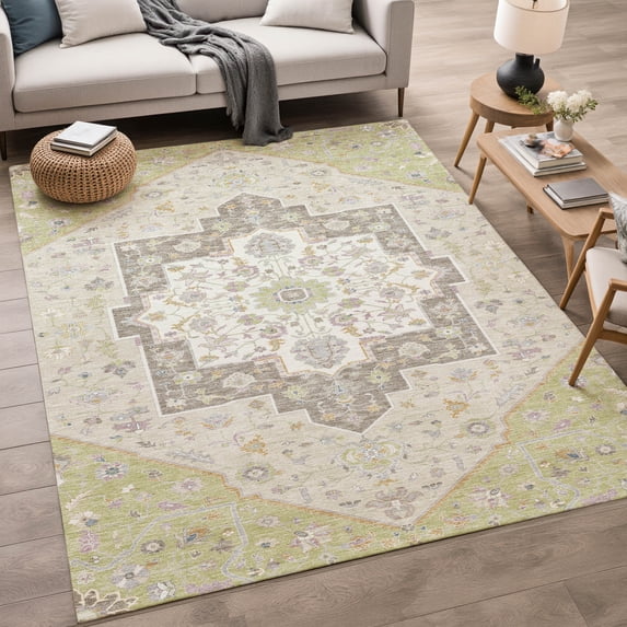 Addison Rugs Chantille Indoor/Outdoor Traditional Aloe Machine Washable Rectangle Rug, 10' x 14'