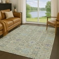 thumbnail image 1 of Addison Rugs Chantille Indoor/Outdoor Traditional Aloe Machine Washable Rectangle Rug, 10' x 14', 1 of 8