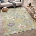 thumbnail image 1 of Addison Rugs Chantille Indoor/Outdoor Traditional Aloe Machine Washable Rectangle Rug, 10' x 14', 1 of 8