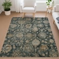 thumbnail image 1 of Addison Rugs Chantille Indoor/Outdoor Traditional Basil Machine Washable Rectangle Rug, 10' x 14', 1 of 8