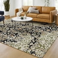 thumbnail image 1 of Addison Rugs Chantille Indoor/Outdoor Traditional Black Machine Washable Rectangle Rug, 10' x 14', 1 of 8