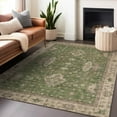 thumbnail image 1 of Addison Rugs Chantille Indoor/Outdoor Traditional Border Aloe Machine Washable Rectangle Rug, 10' x 14', 1 of 7