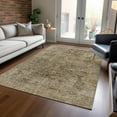 thumbnail image 1 of Addison Rugs Chantille Indoor/Outdoor Traditional Border Brown Machine Washable Rectangle Rug, 10' x 14', 1 of 7